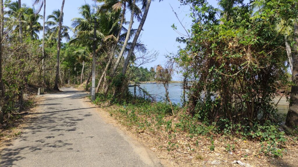 road adjacent to the sea 