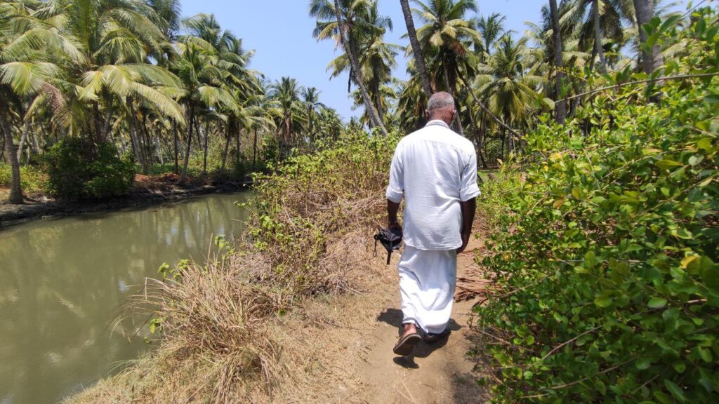 fresh water inlets and mangrove plants in erosion prone regions